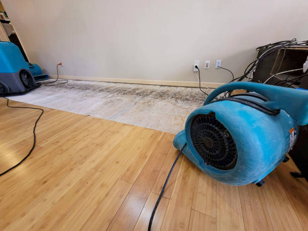 Reliable Burst Pipe Water Damage contractor in Sheridan, IL by Hirex Water Damage