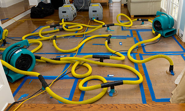 Professional Burst Pipe Water Damage technician working in Sheridan, IL